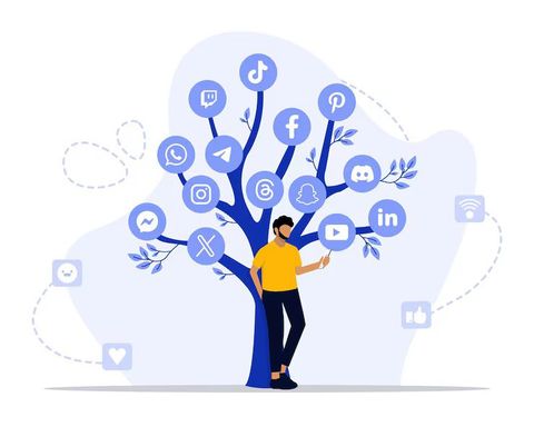 Organic Social Media Growth Insights for Content Strategy