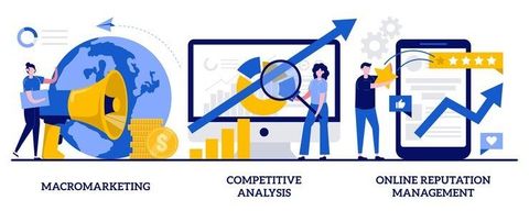 Competitive Search Strategy Guide: Trends and Insights