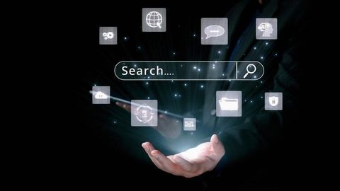 Search Algorithm Update Insights and SEO Trends Guide