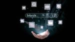 Search Algorithm Update Insights and SEO Trends Guide