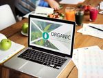 Evergreen Content Creation for Organic Website Growth