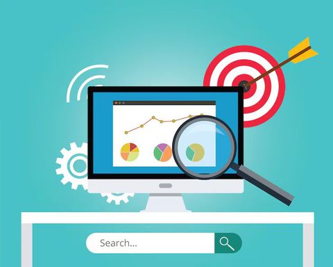 Search Visibility Insights for Organic Traffic Growth